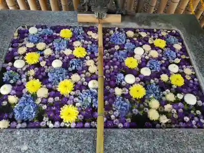 高円寺氷川神社(東京都)