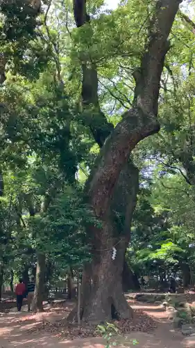 生田神社(兵庫県)
