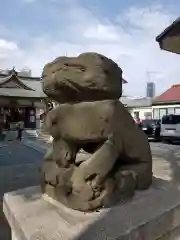 穏田神社の狛犬