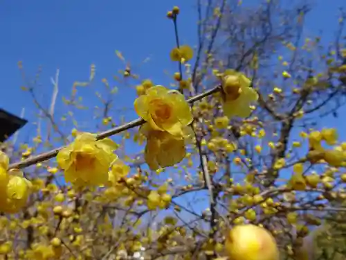 横浜　西方寺(神奈川県)