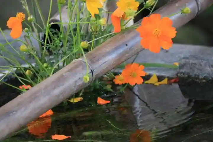 高司神社〜むすびの神の鎮まる社〜の手水舎