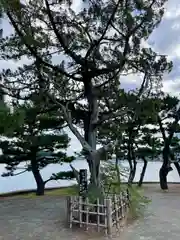 琵琶島神社(神奈川県)