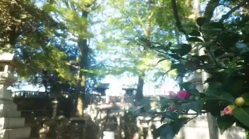 若宮神明社のその他建物