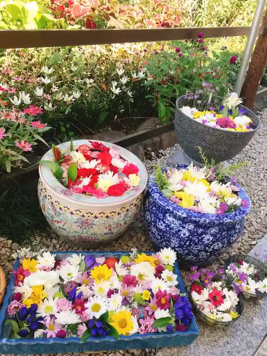 埼玉厄除け開運大師・龍泉寺(切り絵御朱印発祥の寺)(埼玉県)