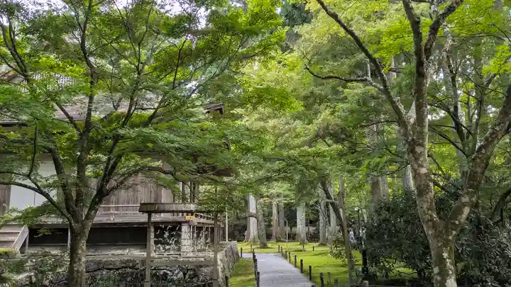 三千院門跡(京都府)