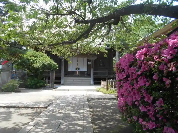 極楽寺(霊鷲山感應院極楽律寺)のその他建物