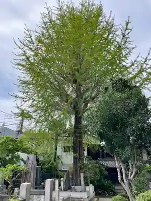 南泉寺(東京都)