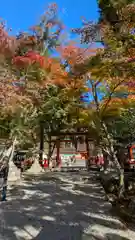 大原野神社(京都府)