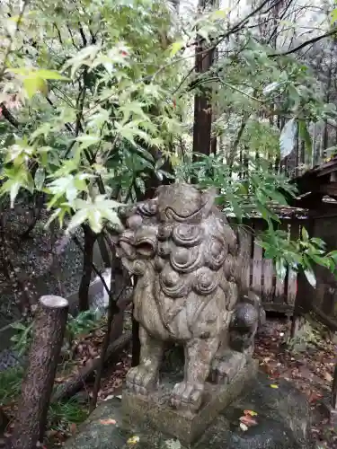 五所駒瀧神社の狛犬