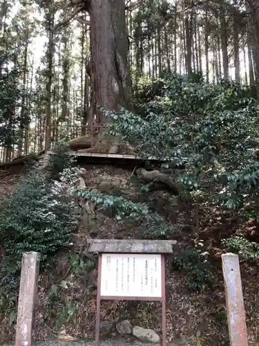 黒瀧神社の自然