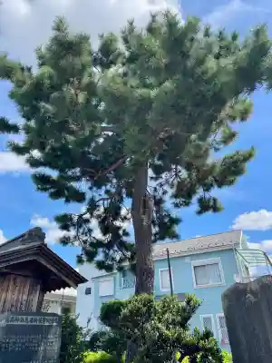 高富蕎高神社(埼玉県)