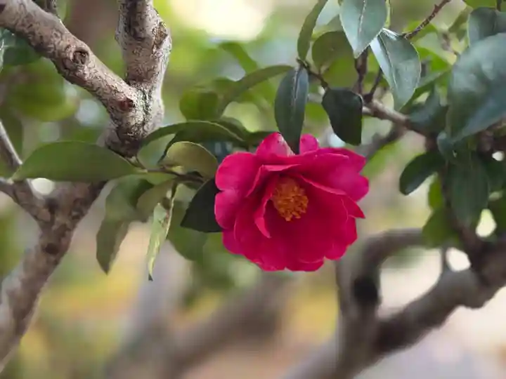 西方山極楽寺(岐阜県)