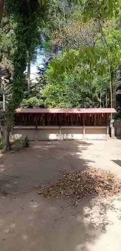 柏諏訪神社(千葉県)