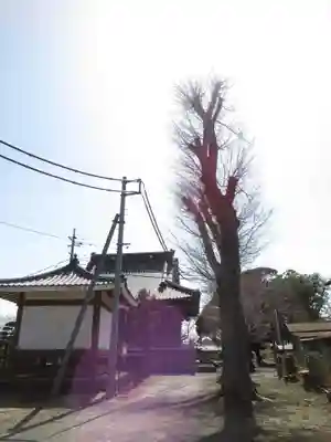 大栄寺のその他建物