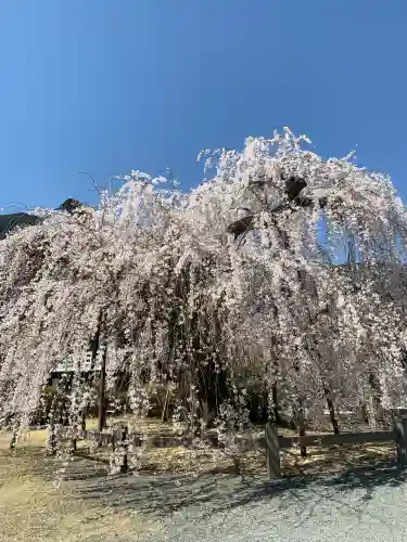 久遠寺の{uncategorized: "未分類", other: "その他", undefined: "問題あり", building: "その他建物", grave: "お墓", sacred_gate: "鳥居", guardian: "狛犬", statue: "像", buddha: "仏像", history: "歴史", nature: "自然", garden: "庭園", animal: "動物", pagoda: "塔", temizu: "手水舎", mountain_gate: "山門・神門", sanctuary: "本殿・本堂", subordinate: "末社・摂社", art: "芸術", scenery: "景色", jizo: "地蔵", ema: "絵馬", goshuin: "御朱印", omikuji: "おみくじ", items: "授与品その他", amulet: "お守り", goshuincho: "御朱印帳", eats: "食事", festival: "お祭り", votive_dance: "神楽", shichigosan: "七五三参", wedding: "結婚式", experience: "体験その他", initially: "初詣", around: "周辺", anti_infection: "感染症対策"}