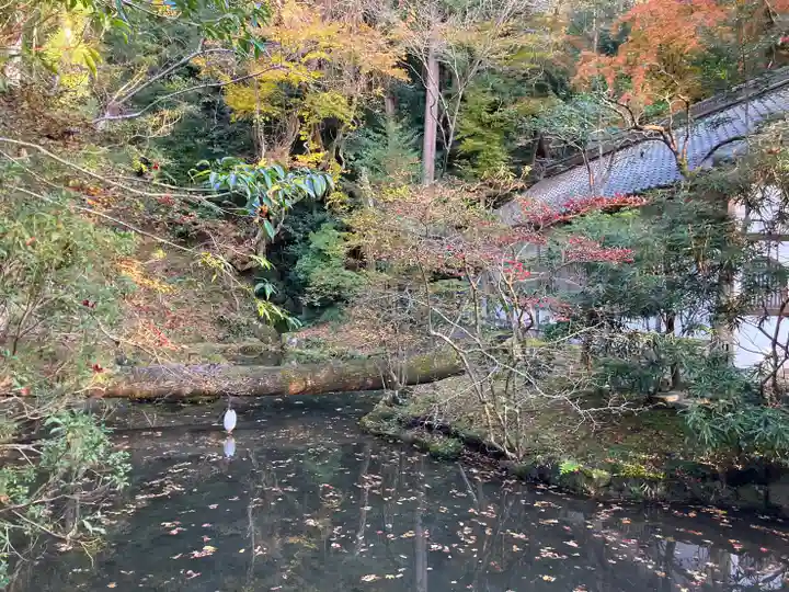 法然院(京都府)