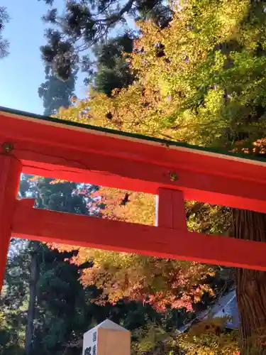 白山神社(岩手県)