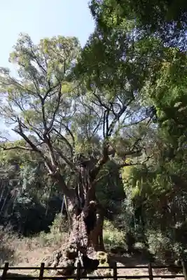 武雄神社(佐賀県)