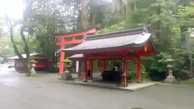 箱根神社の手水舎