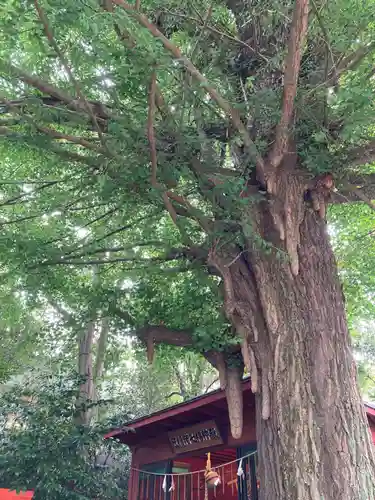冠稲荷神社(群馬県)