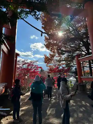 新倉富士浅間神社(山梨県)