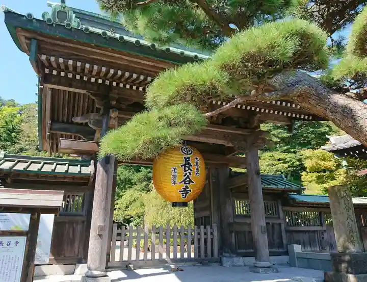 長谷寺の山門・神門