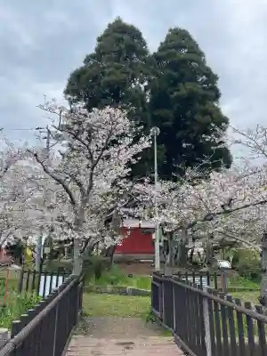 厳島神社 谷弁財天(千葉県)