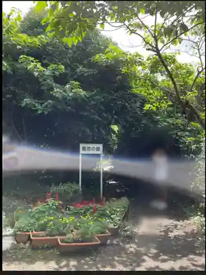 江島神社(神奈川県)