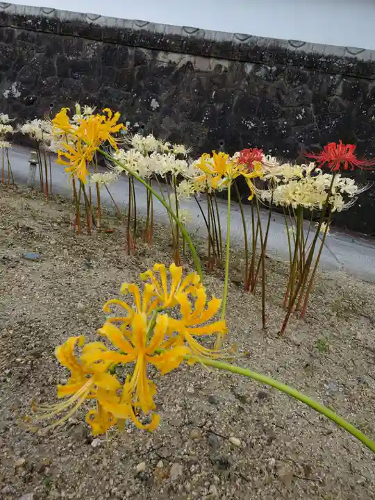 如宝寺(福島県)