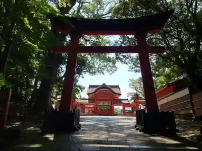 宇佐神宮(大分県)