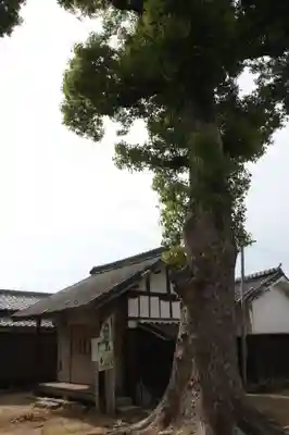鏡作麻気神社(奈良県)