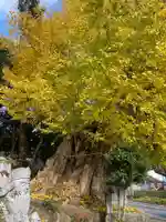 五所神社(神奈川県)