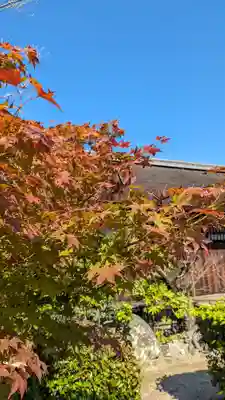 勧修寺(京都府)