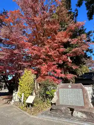 高麗神社(埼玉県)