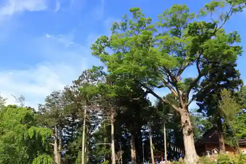 阿久津「田村神社」（郡山市阿久津町）旧社名：伊豆箱根三嶋三社の庭園