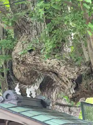 海南神社(神奈川県)