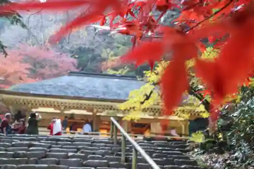 室生寺の建物その他