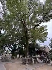 大神神社（花池）(愛知県)