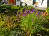 寿量山 速成寺(奈良県)