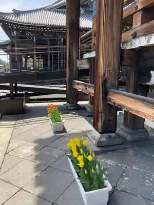 本願寺（西本願寺）のその他建物