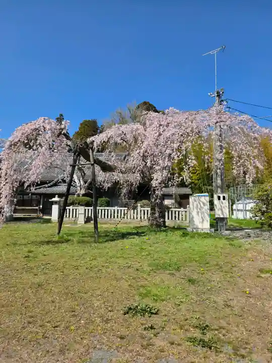 相馬小高神社の{uncategorized: "未分類", other: "その他", undefined: "問題あり", building: "その他建物", grave: "お墓", sacred_gate: "鳥居", guardian: "狛犬", statue: "像", buddha: "仏像", history: "歴史", nature: "自然", garden: "庭園", animal: "動物", pagoda: "塔", temizu: "手水舎", mountain_gate: "山門・神門", sanctuary: "本殿・本堂", subordinate: "末社・摂社", art: "芸術", scenery: "景色", jizo: "地蔵", ema: "絵馬", goshuin: "御朱印", omikuji: "おみくじ", items: "授与品その他", amulet: "お守り", goshuincho: "御朱印帳", eats: "食事", festival: "お祭り", votive_dance: "神楽", shichigosan: "七五三参", wedding: "結婚式", experience: "体験その他", initially: "初詣", around: "周辺", anti_infection: "感染症対策"}