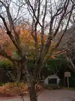 白毫寺(奈良県)