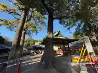 武蔵一宮氷川神社(埼玉県)