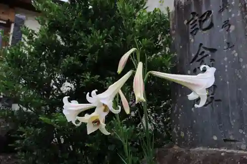 大鏑神社の自然