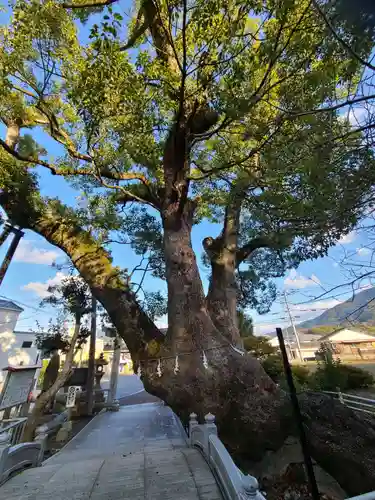篠栗総鎮守 老松神社(福岡県)