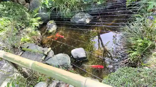 霊源院(京都府)