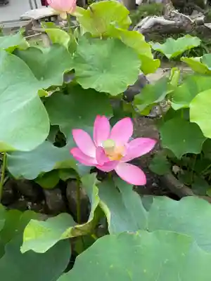 本覚寺(神奈川県)