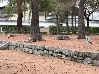 相国寺（相国承天禅寺）(京都府)