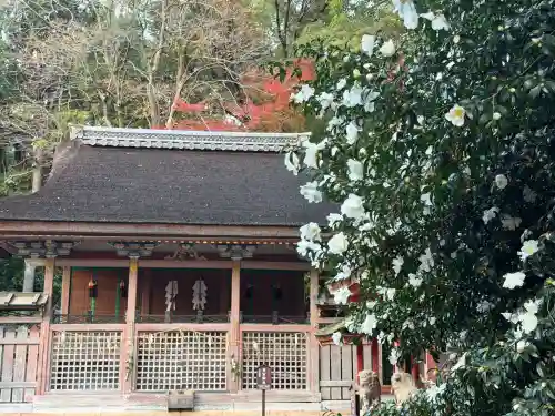 石清水八幡宮(京都府)