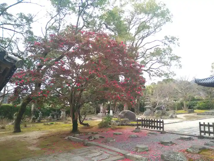 戒壇院の{uncategorized: "未分類", other: "その他", undefined: "問題あり", building: "その他建物", grave: "お墓", sacred_gate: "鳥居", guardian: "狛犬", statue: "像", buddha: "仏像", history: "歴史", nature: "自然", garden: "庭園", animal: "動物", pagoda: "塔", temizu: "手水舎", mountain_gate: "山門・神門", sanctuary: "本殿・本堂", subordinate: "末社・摂社", art: "芸術", scenery: "景色", jizo: "地蔵", ema: "絵馬", goshuin: "御朱印", omikuji: "おみくじ", items: "授与品その他", amulet: "お守り", goshuincho: "御朱印帳", eats: "食事", festival: "お祭り", votive_dance: "神楽", shichigosan: "七五三参", wedding: "結婚式", experience: "体験その他", initially: "初詣", around: "周辺", anti_infection: "感染症対策"}